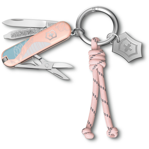 Складной нож Victorinox CLASSIC SD Paris Style 0.6223.E221