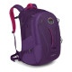 Рюкзак Osprey Celeste 29 (2016) Фиолетовый