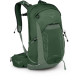 Рюкзак Osprey Talon 22 green canopy/pine leaf - O/S - зеленый