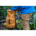 Рюкзак Exped CLOUDBURST 15 gold - желтый