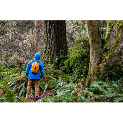 Рюкзак Exped CLOUDBURST 15 gold - желтый