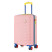Чемодан Semi Line 20" (S) Rose (T5806-1)