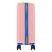 Чемодан Semi Line 20" (S) Rose (T5806-1)
