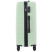 Чемодан Semi Line 28" (L) Mint (T5646-4)