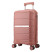 Чемодан Semi Line 20" (S) Rose Gold (T5836-1)