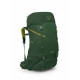 Рюкзак Osprey Ace 38 green canopy - O/S - зеленый