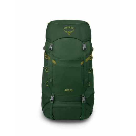 Рюкзак Osprey Ace 38 green canopy - O/S - зеленый