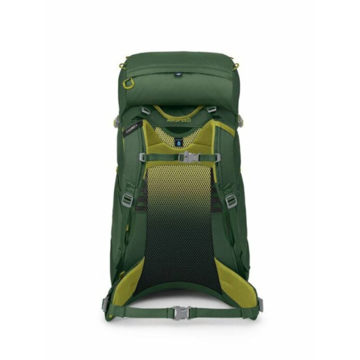 Рюкзак Osprey Ace 38 green canopy - O/S - зеленый