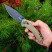 Нож ZT 0203 Olive