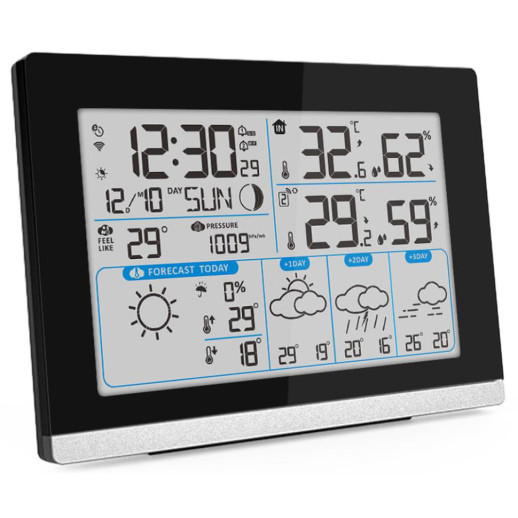 Метеостанция Technoline DirektWetter WD2100 Black (WD2100)