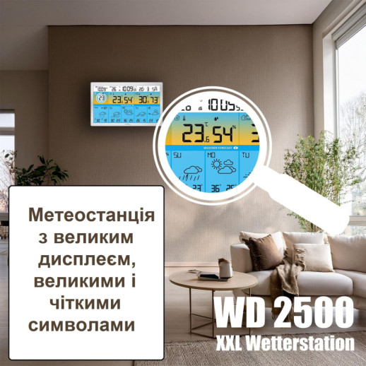 Метеостанция Technoline DirektWetter WD2500 Silver (WD2500)