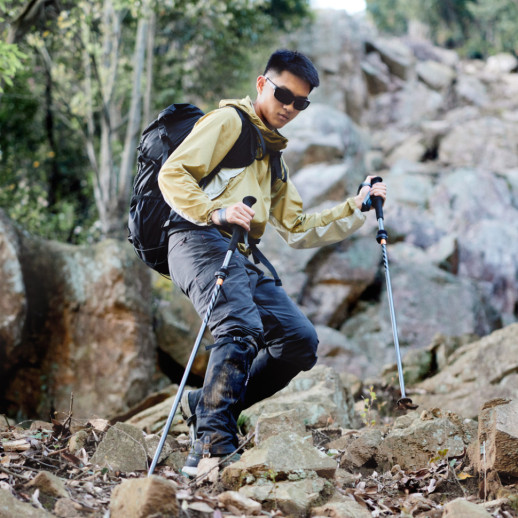 Трекинговая палка Naturehike CNK2450DS013, 103-120 см, фиолетовый