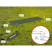 Кровать складная Naturehike XJC05 NH20JJ001, Полиэстер Oxford / алюминий, черный (6927595768822)